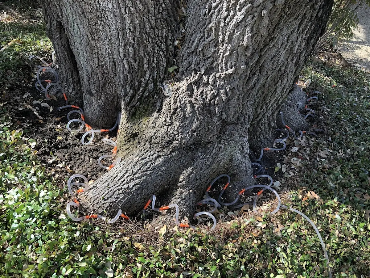 Detailed Shrub and Hedge Trimming job site in Jay