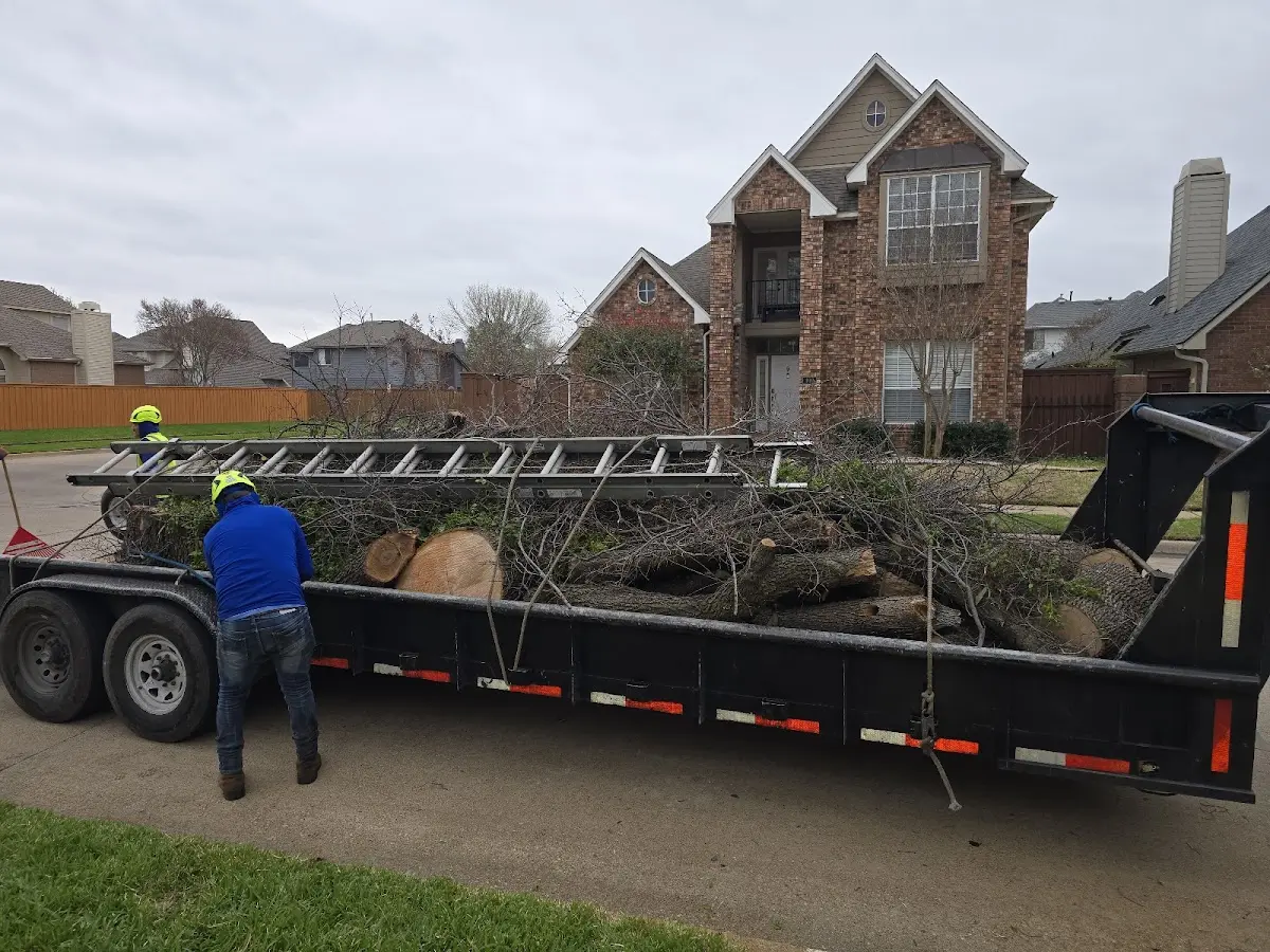 Expert Tree Removal with proper safety equipment in Jay